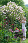 Small seat under rose arch