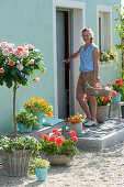 Hauseingang mit Rosenstamm und Balkonblumen