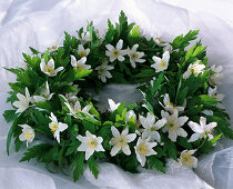 Plate wreath with wood anemones