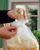 Tuscany mushroom, indoor cultivation