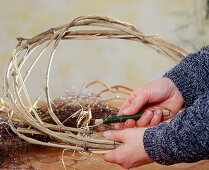Tying an Advent wreath. Step 1: Wind a wreath from clematis and miller's beckia vines.