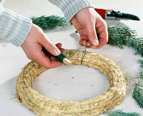 Tying an Advent wreath. Cupressus arizonica with winding wire on straw ring