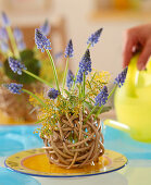 Willow ball with muscari and acacia
