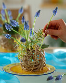Willow ball with muscari and acacia