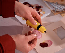 Pressing blossoms and leaves (homemade greeting cards: dried, pressed blossom)