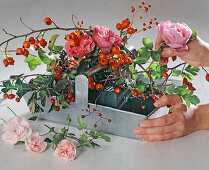 Rose arrangement in a tin basket (1/2). Pink (roses) and rose hips, Crataegus (hawthorn)