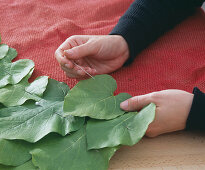 Table runner made of leaves (1/2). Aristolochia (whistling vine leaves) with deco needle