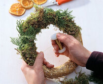 Orange slice wreath (1/4). Cane Romans with moss and Chamaecyparis (false cypress)