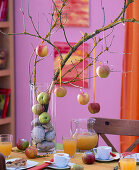 Tischdeko mit Malus (Äpfel), Vermoosten Zweig in hohes Glas mit Steinen und Malus (Apfel)