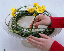 Kranz aus Jasminranken mit Narzissen (3/4)