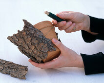 Pot decoration of bark and twigs