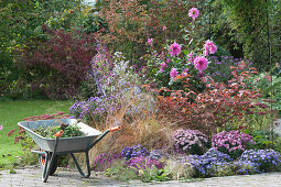 Autumn bed with perennials, grasses and dahlia