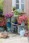 Terrace with self-made shelf of wine boxes