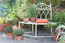 Gravel terrace with herbs and vegetables