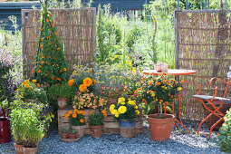 Terrace with privacy screens made of wickerwork