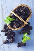 Brombeeren im Henkelkorb auf blauem Holzuntergrund