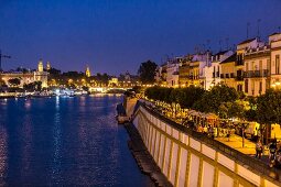 The view from the Puente de Isabel II bridge in Sevilla, Andalusia, Spain by night