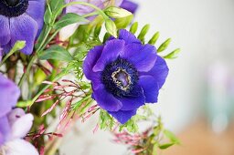Detail of bouquet with blue anemones