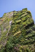 Vertical garden on the façade of the Caixa Forum in Madrid, Spain