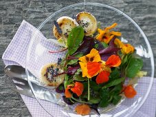 Blossom salad with lavender dressing and baked goat's cheese