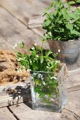 White flowers in painted glass vase on rustic wooden surface