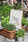 Book cover embroidered with floral motifs and herbs in wicker basket