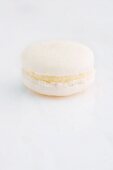 Coconut macaron