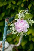 Ein alter Gartenstuhl geschmückt mit Pfingstrose und Kerbelblüten