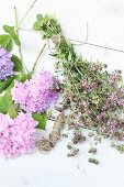 Pink hydrangea, flowering oregano and reel of twine