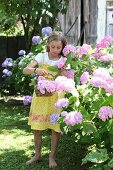 Mädchen mit Korb pflückt Hortensien im Sommergarten