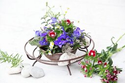 Blumengesteck mit Rittersporn und Bartnelken in der Metallschale