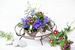 Arrangement of delphiniums and sweet Williams in metal dish