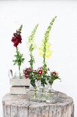 Snapdragons and sweet Williams in glass bottles in wire basket
