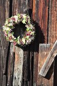 Wreath of sweet Williams and chamomile hung from board wall