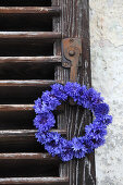 Wreath of cornflowers hung from vintage shutter