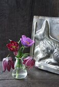 Snake's head fritillaries and one pasque flower in front of old cake tin