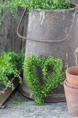 Heart-shaped wreath of shepherd's purse leaning against old jug