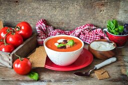 Hot tomato puree soup with beans, decorated with sour cream and basil
