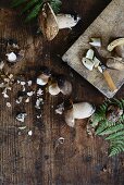 Fresh porcini mushrooms with a knife on a wooden background