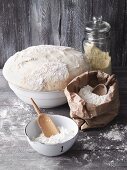 Different types of flour and a bowl of dough for pizza