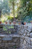 Natursteinmauer mit Topfpflanzen und Hinweisschild im Garten