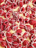 Raspberry tarte (close-up)