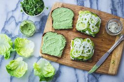 Grüne Gemüse-Sandwiches mit Tomaten, Gurke, Kresse und Salat