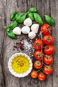 Kirschtomaten, Basilikum, Mini-Mozzarella und Olivenöl für Caprese-Salat