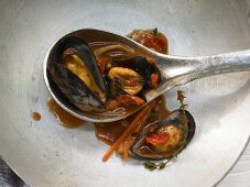Mussels with fennel and white wine