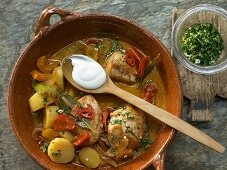 Chicken ragout with potatoes, peppers, chilli and sour cream (Hungary)