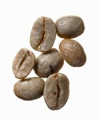 Unroasted Costarica Tournon coffee beans