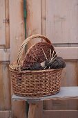 Knitting in knitting basket in front of rustic wooden door