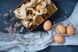 Eggs and cardboard box on blue surface