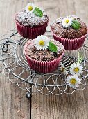 Chocolate muffins with daisies